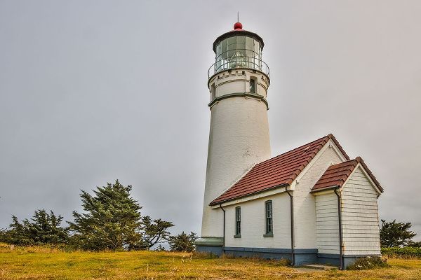 Looney, Hollice 아티스트의 Usa-Oregon-Port Orford Cape Blanco Lighthouse on a Foggy Morning작품입니다.